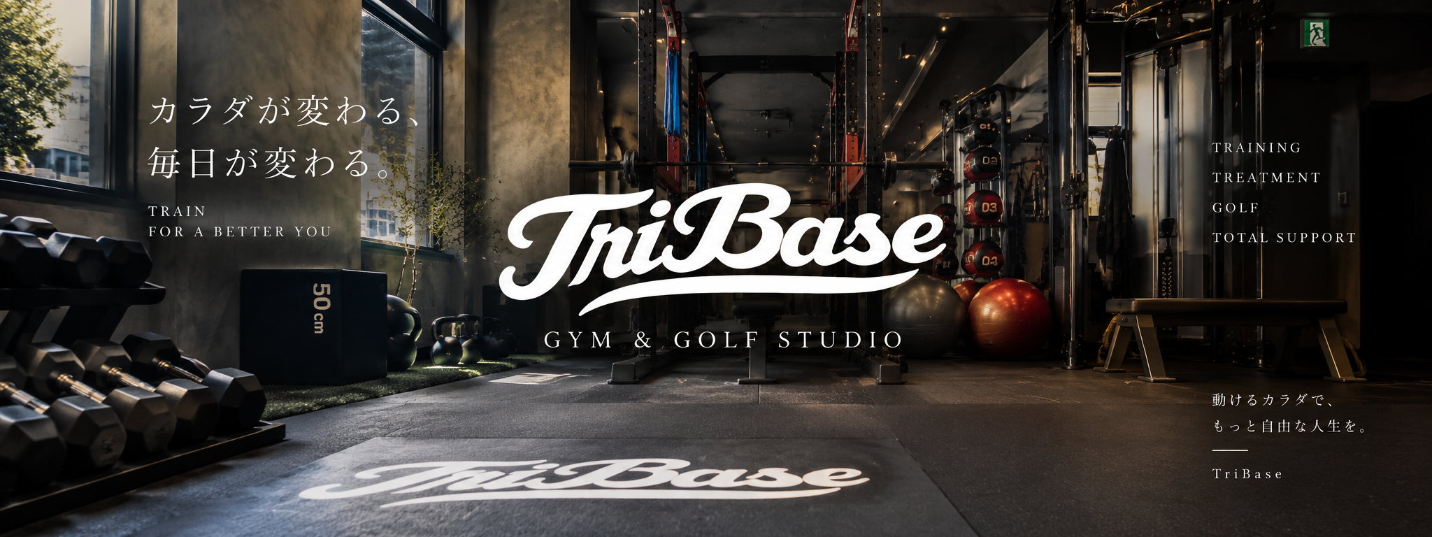 TriBase